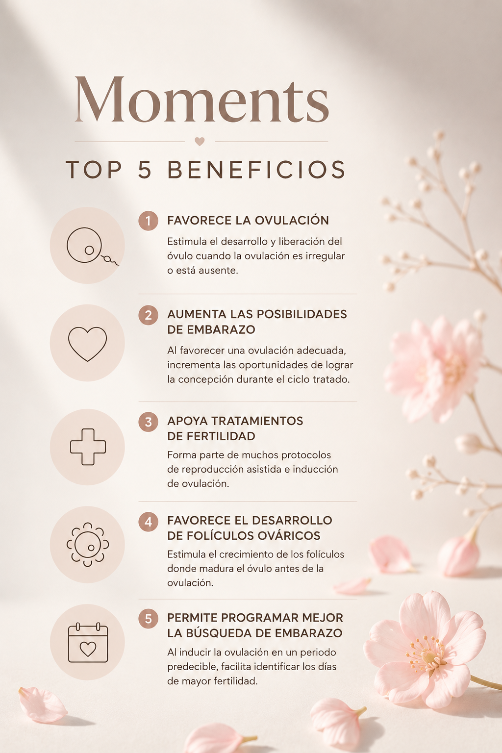 Moments 30 Tabletas - Clomifeno by IFA Celtics