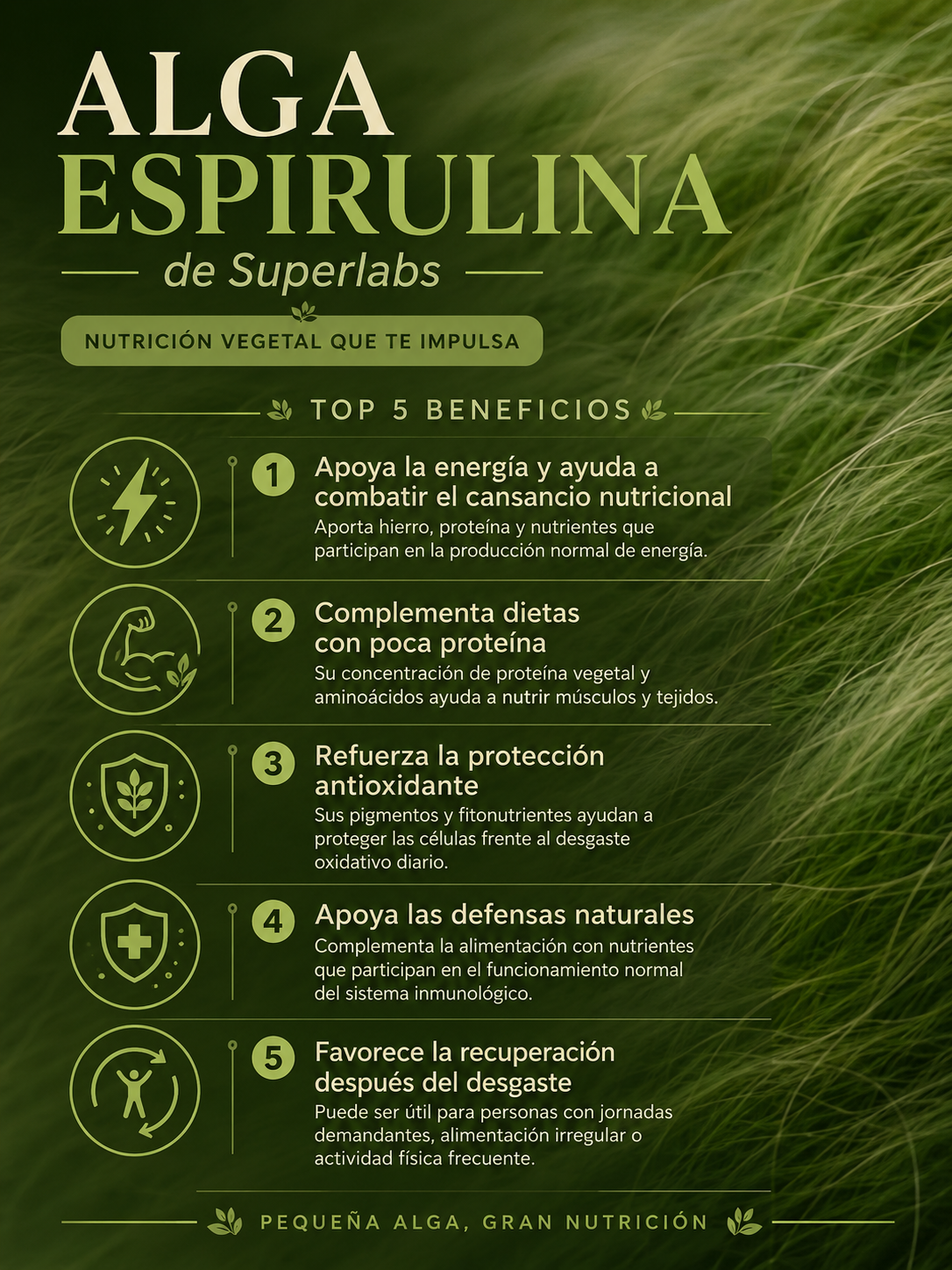 ALGA SPIRULINA 500MG 100 CAPSULAS by SUPERLABS