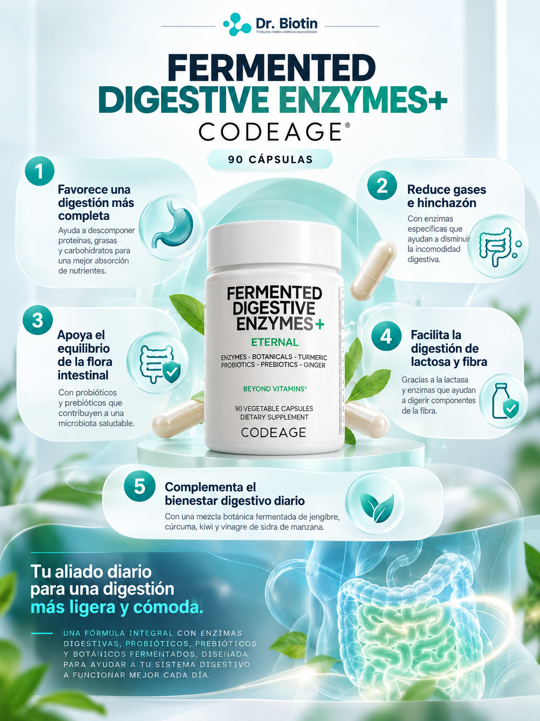 Fermented Digestive Enzymes - Infografía