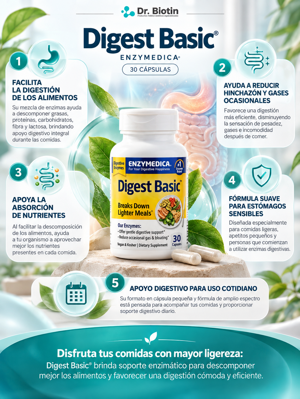 Digest Basic - Infografía