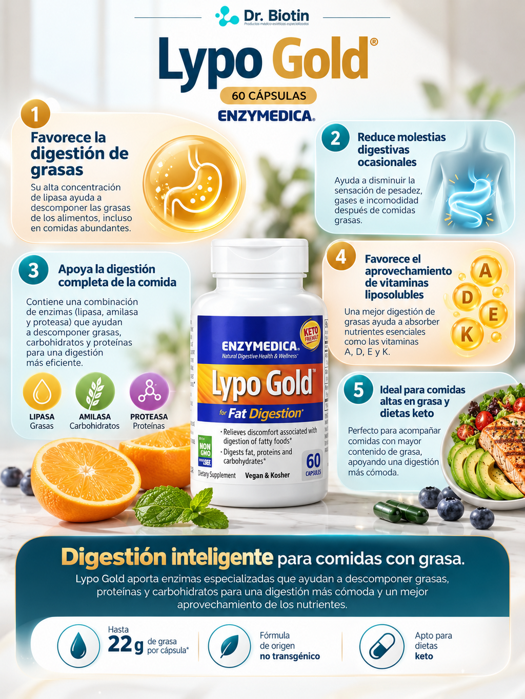 Lypo Gold 60 cápsulas - Infografía