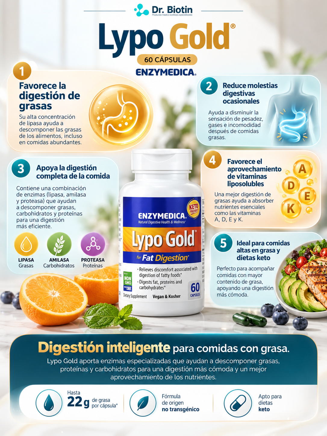 Lypo Gold 60 cápsulas - Infografía