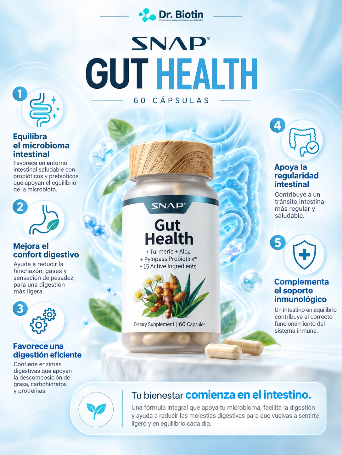 Gut Health - Infografía