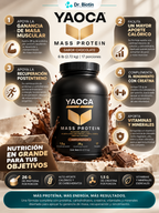 Proteína Mass Chocolate - Infografía